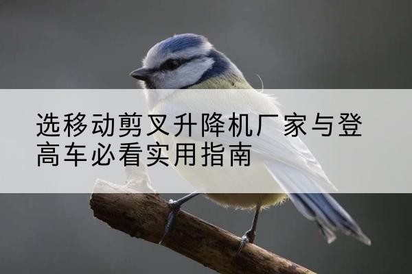 仙游电动升降机厂家-选移动剪叉升降机厂家与登高车必看实用指南