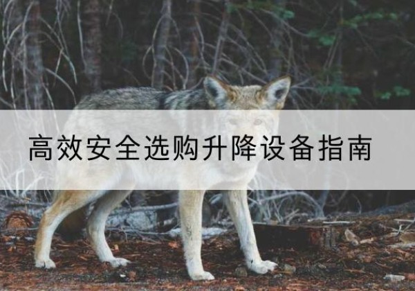 仙游升降货梯厂家推荐-*安全选购升降设备指南