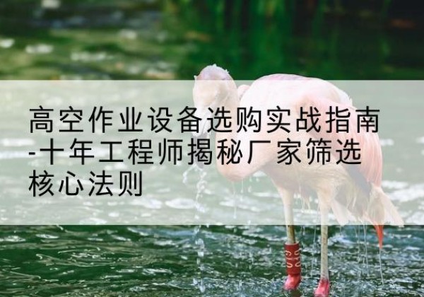 仙游剪叉式升降机厂家-高空作业设备选购实战指南-十年工程师揭秘厂家筛选核心法则