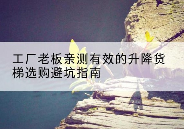 仙游升降货梯怎么选-工厂老板亲测有效的升降货梯选购避坑指南